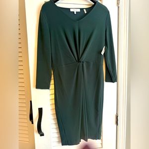 Brand new lark and ro dress pretty green